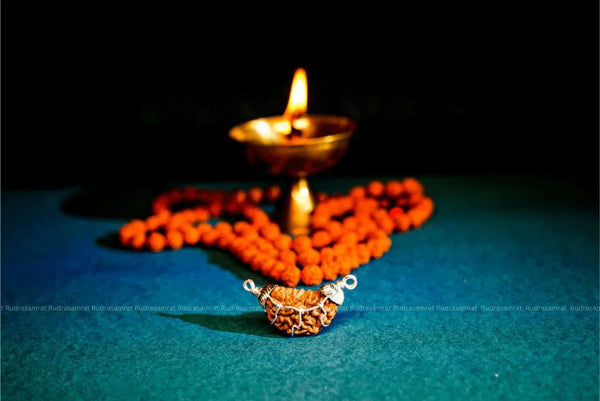 1 Mukhi Rudraksha