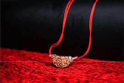 1 Mukhi Rudraksha
