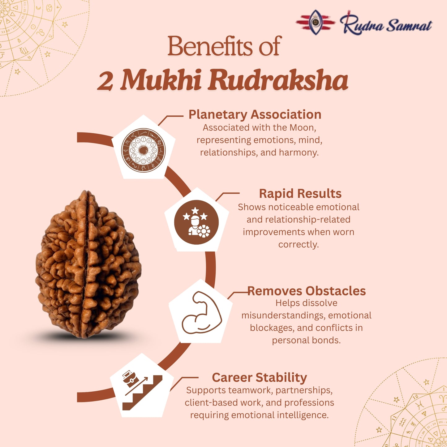 2 Mukhi Rudraksha