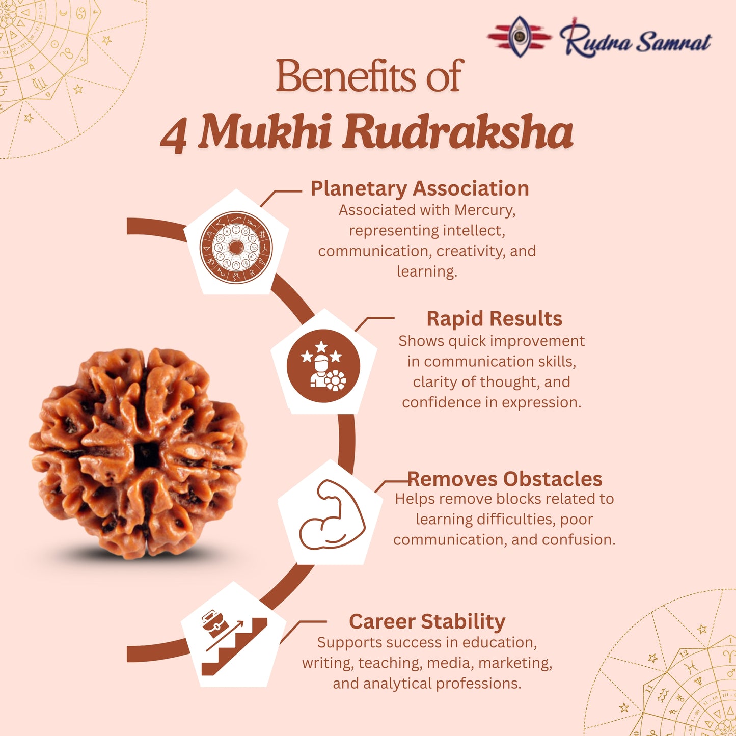 4 Mukhi Rudraksha