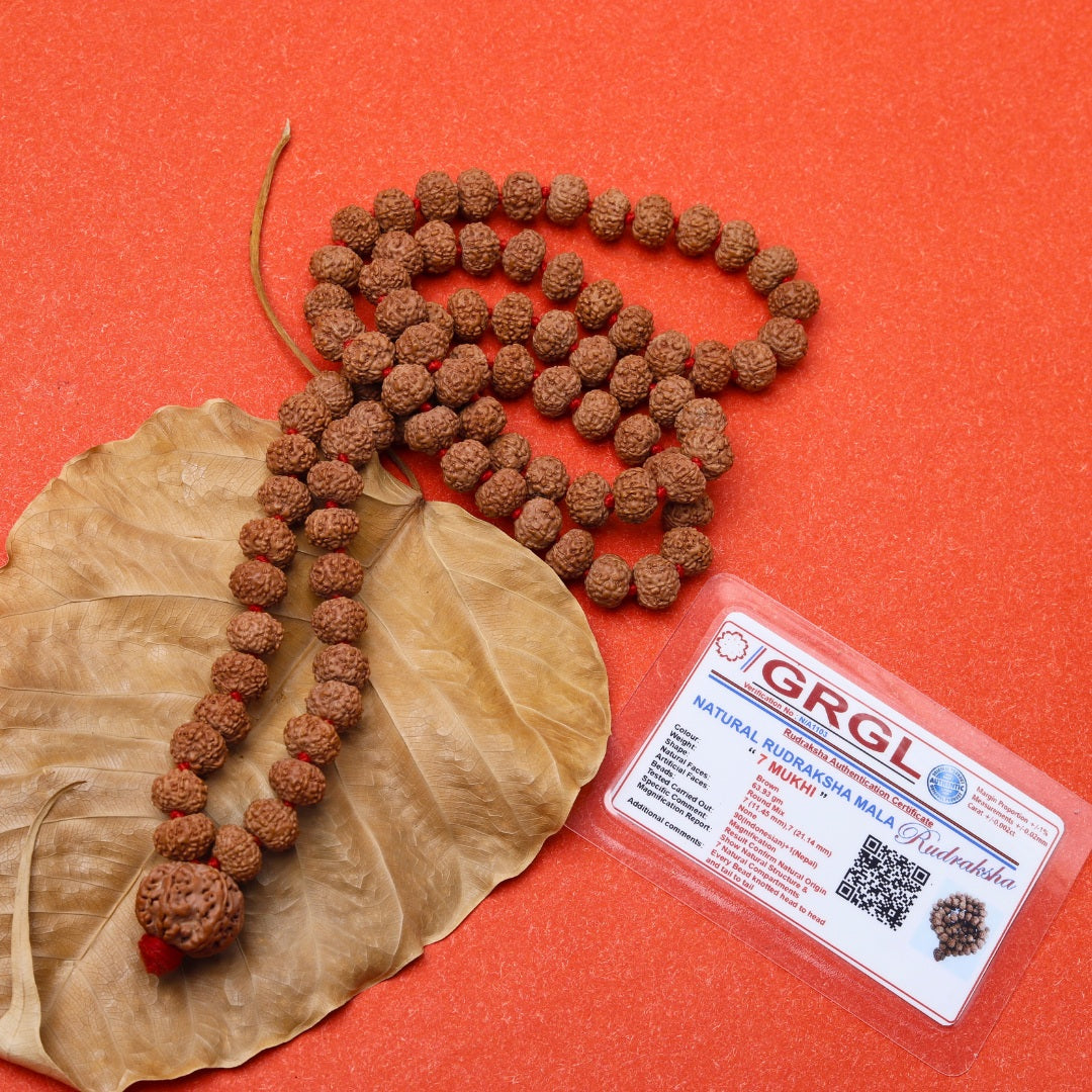 7 Mukhi Rudraksha Mala