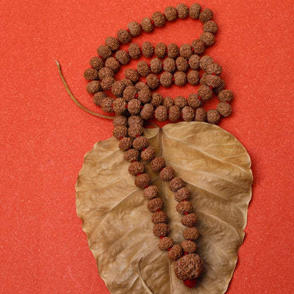 7 Mukhi Rudraksha Mala