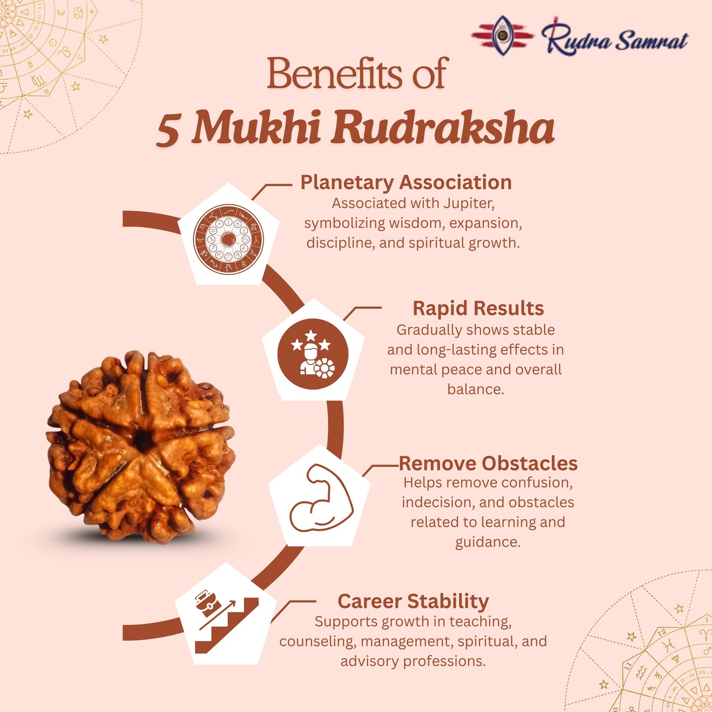 5 Mukhi Rudraksha