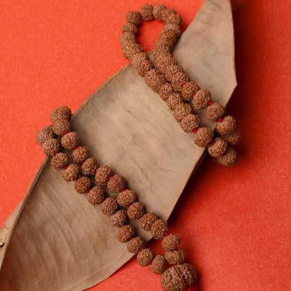 7 Mukhi Rudraksha Mala