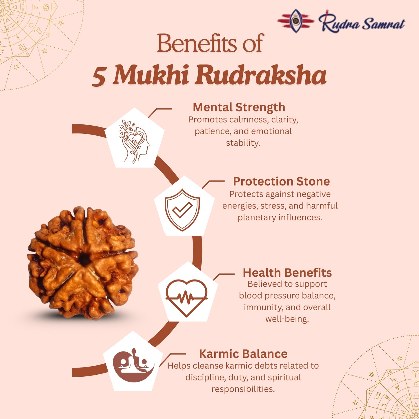 5 Mukhi Rudraksha
