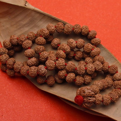 7 Mukhi Rudraksha Mala