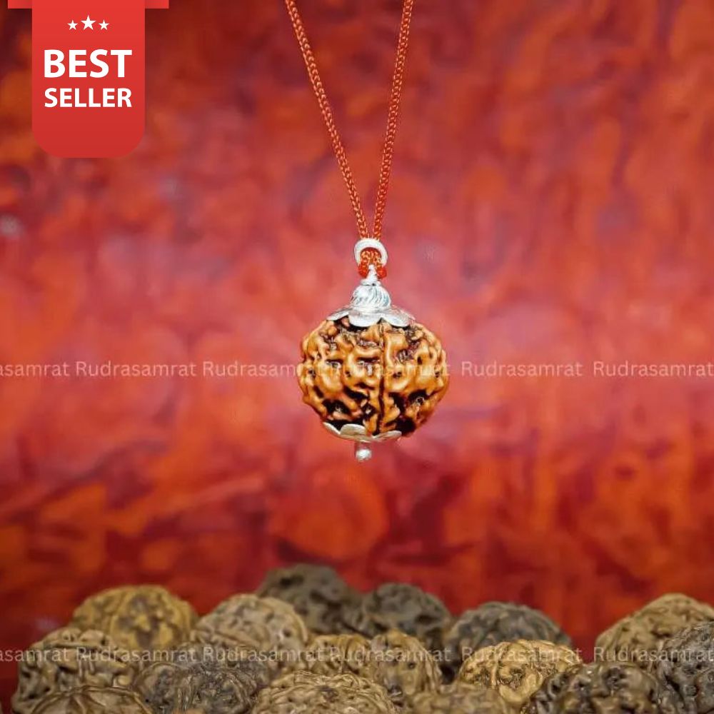 5 Mukhi Rudraksha