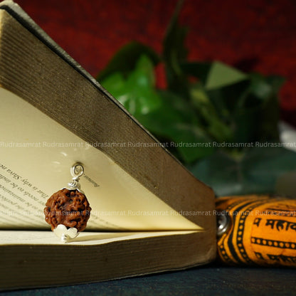 3 Mukhi Rudraksha