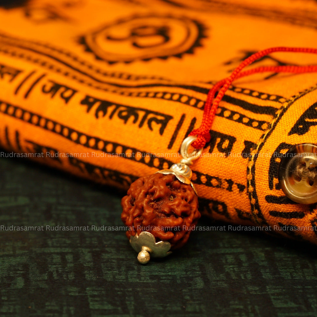 3 Mukhi Rudraksha