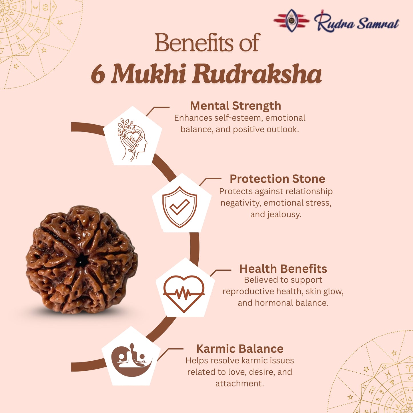 6 Mukhi Rudraksha