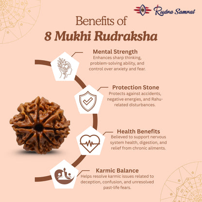 8 Mukhi Rudraksha