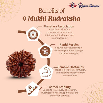 9 Mukhi Rudraksha