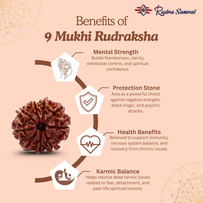 9 Mukhi Rudraksha