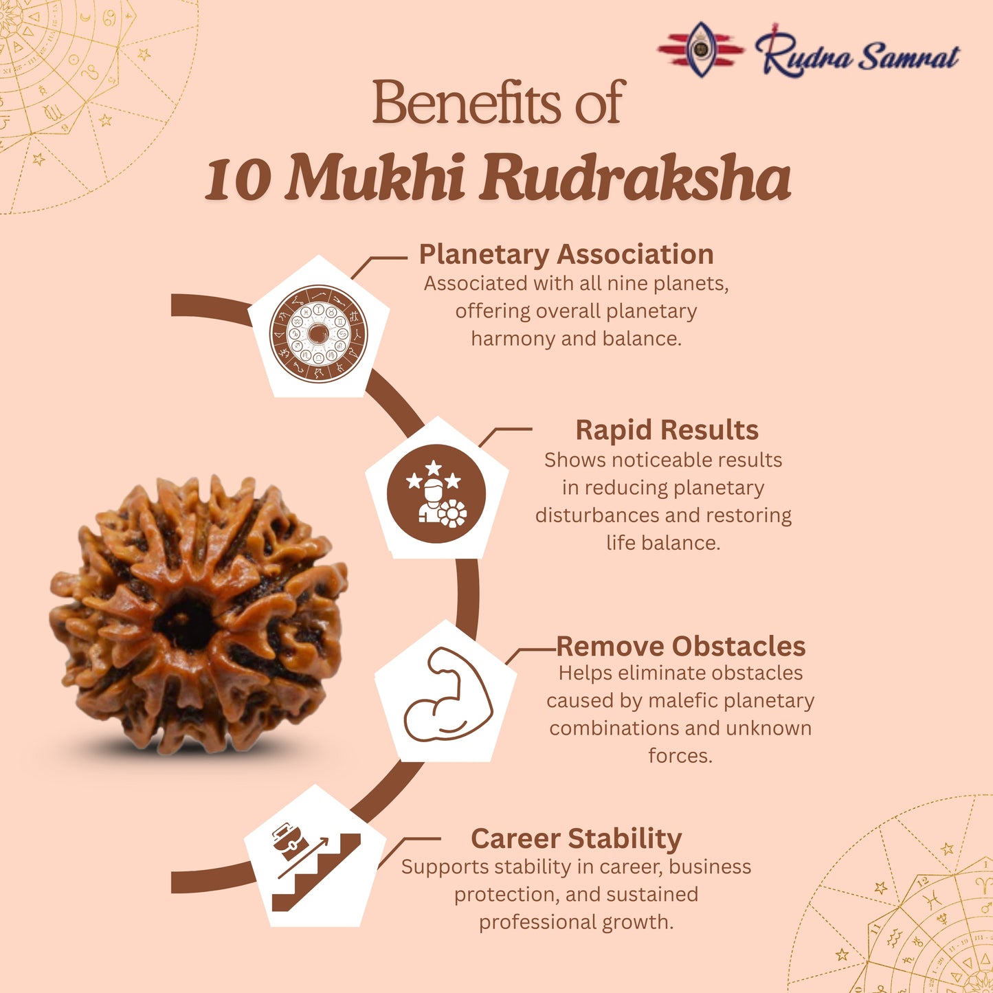 10 Mukhi Rudraksha