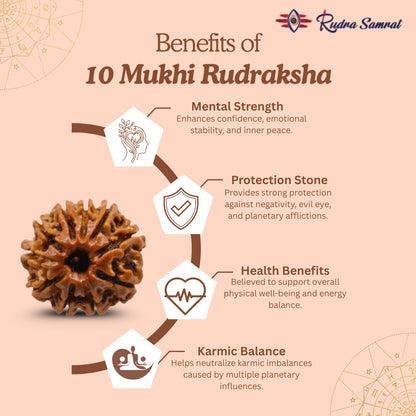 10 Mukhi Rudraksha