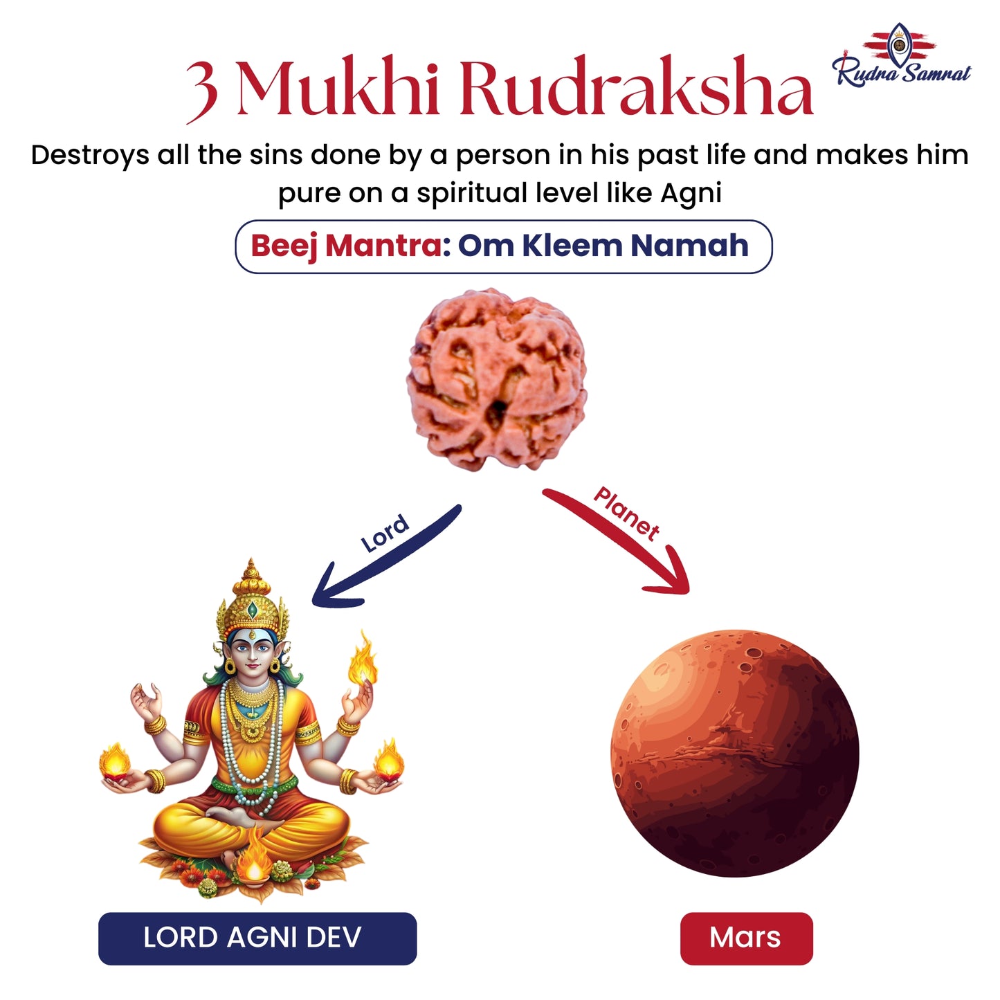 3 Mukhi Rudraksha