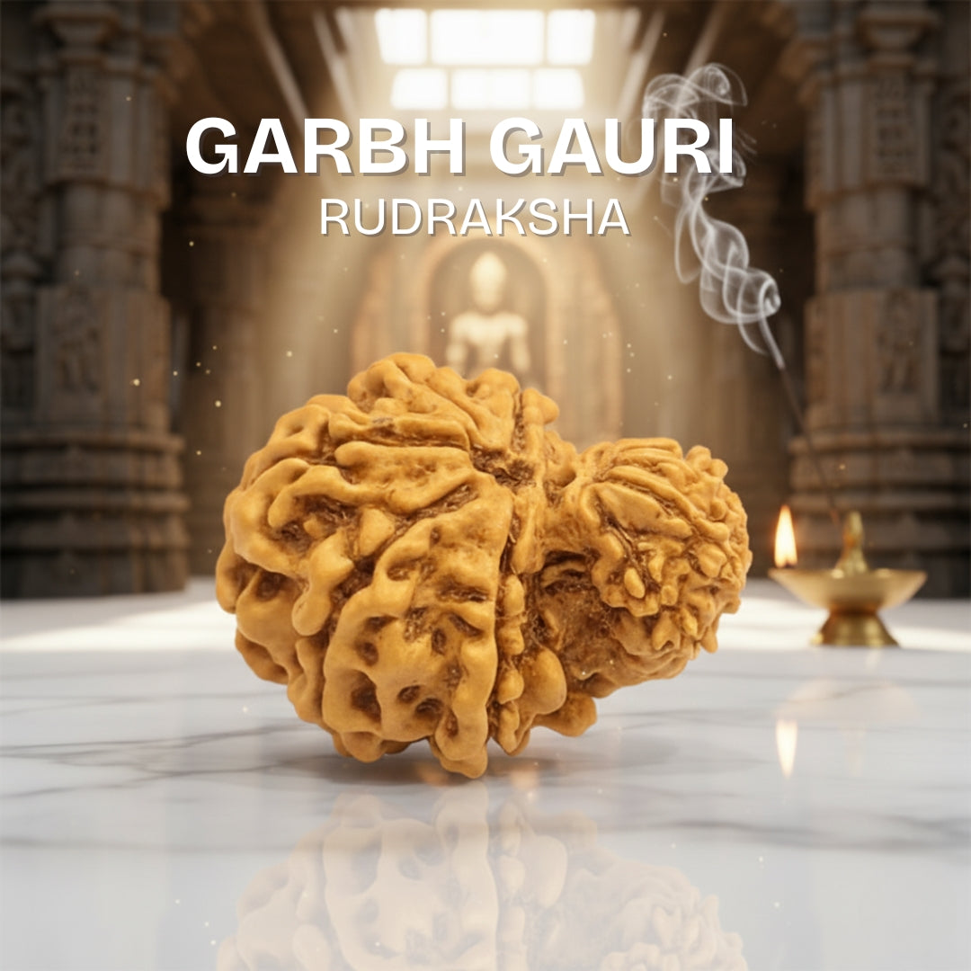 Gauri Shankar Rudraksha