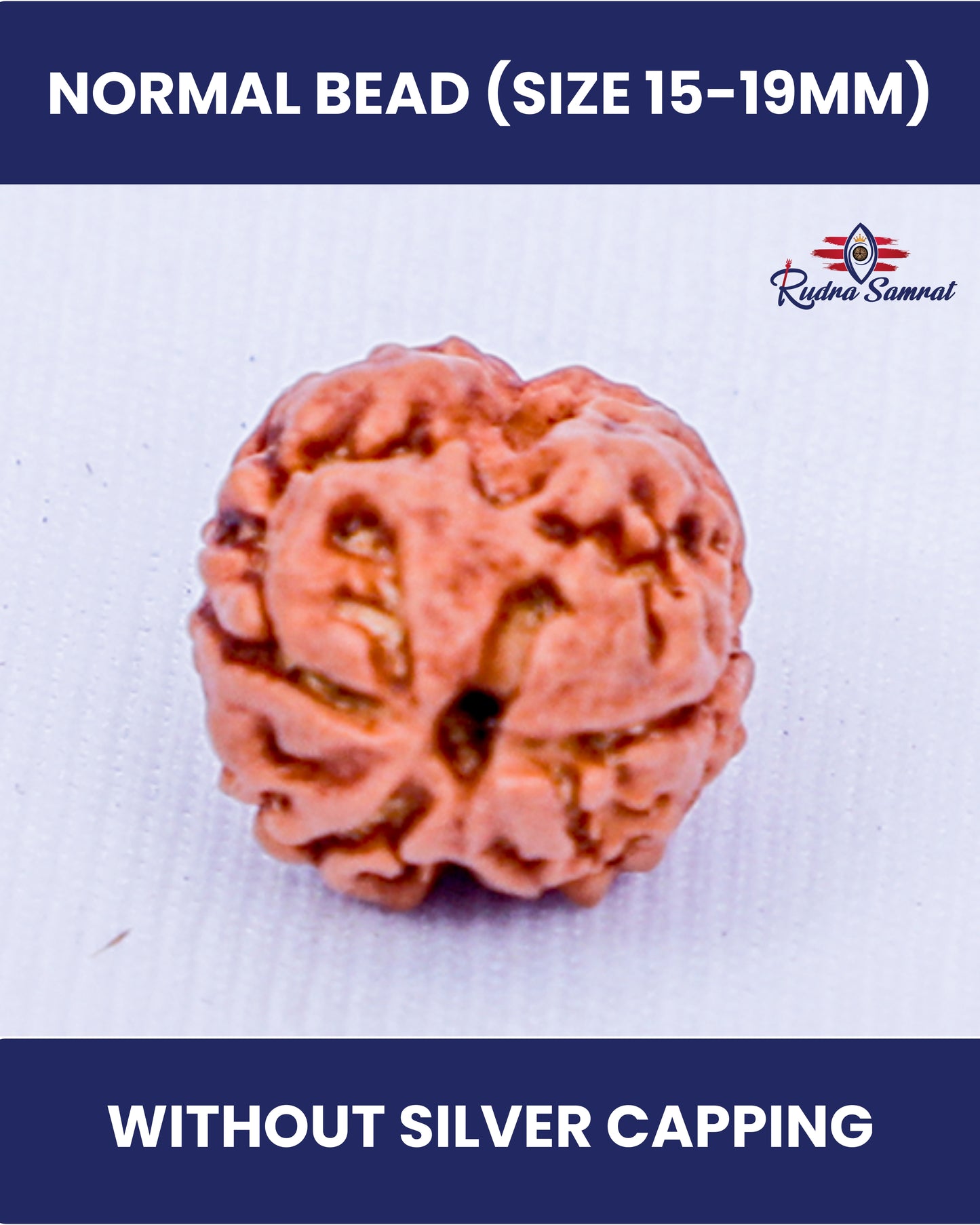 3 Mukhi Rudraksha