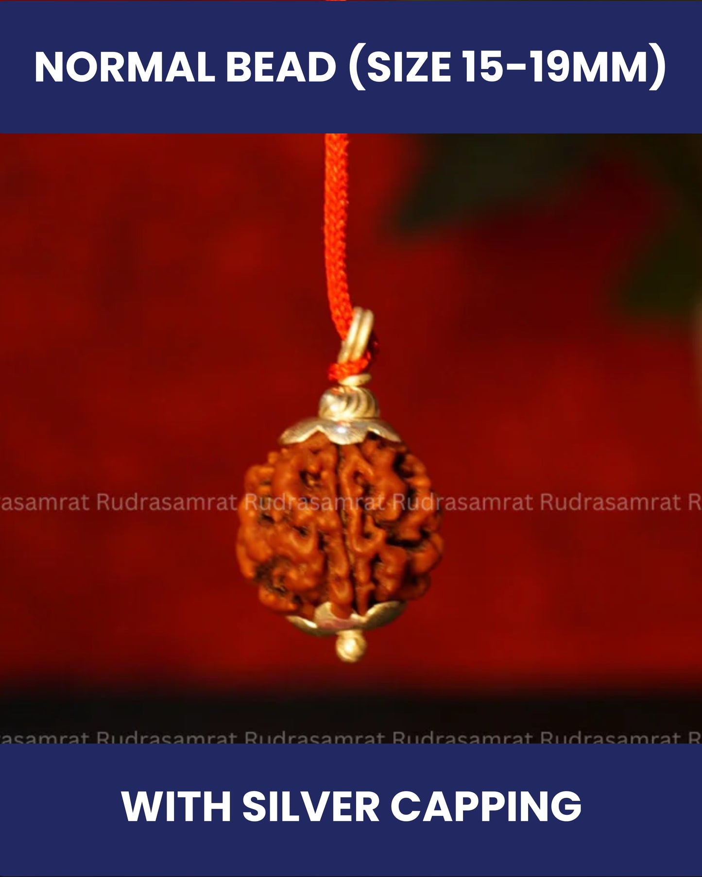3 Mukhi Rudraksha