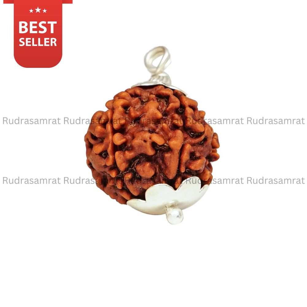 6 Mukhi Rudraksha