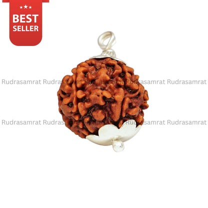6 Mukhi Rudraksha