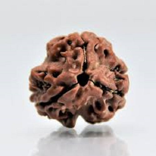 3 mukhi Java Indonesian