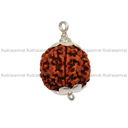 4 mukhi rudraksha