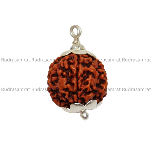 4 Mukhi Rudraksha