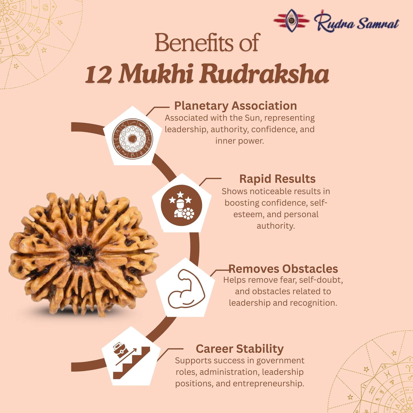 12 Mukhi Rudraksha
