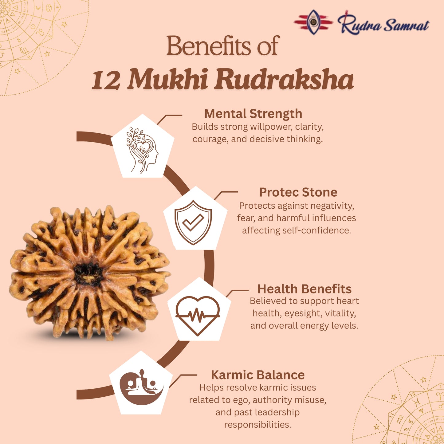 12 Mukhi Rudraksha