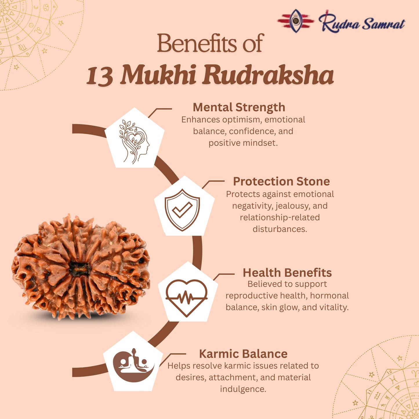13 Mukhi Rudraksha