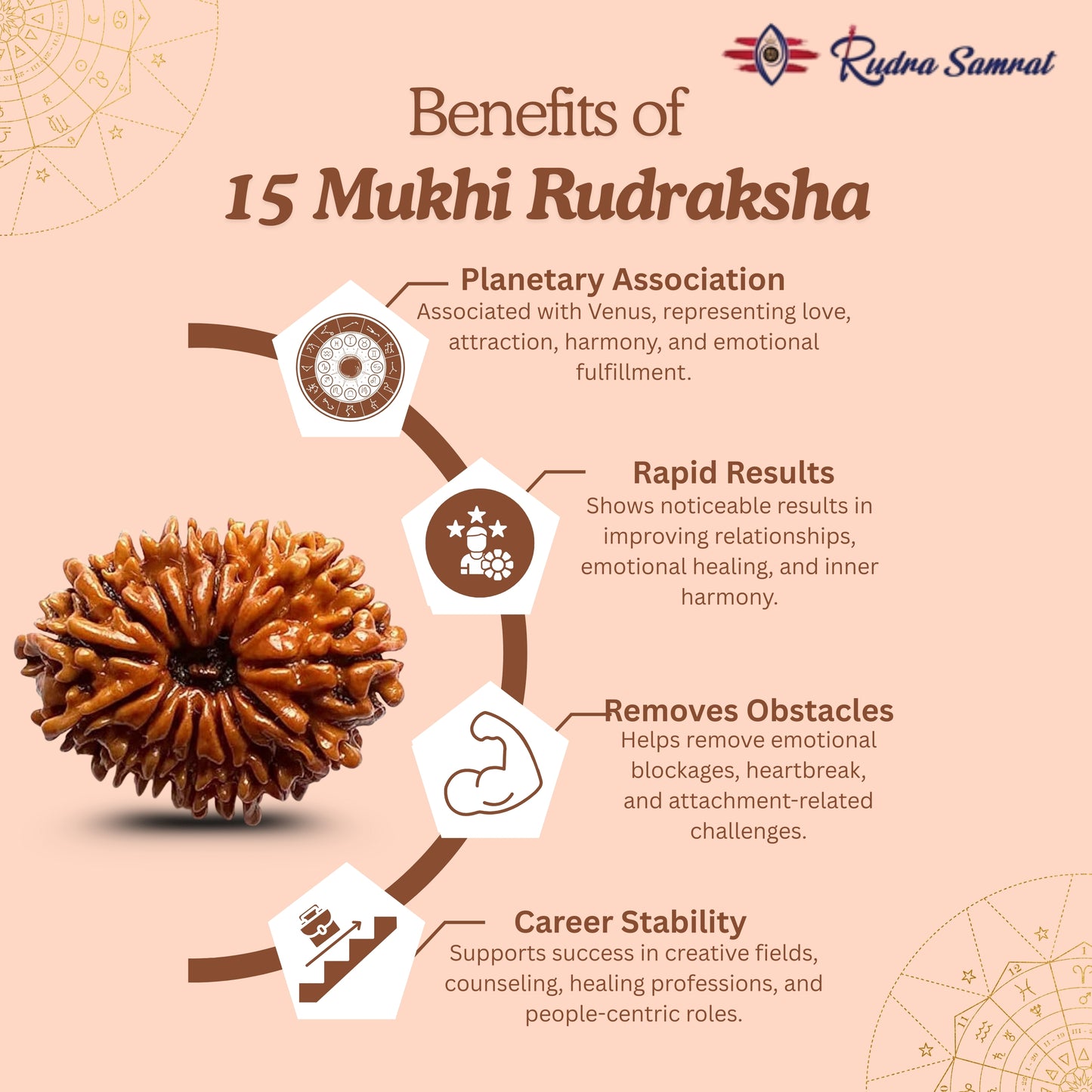 15 Mukhi Rudraksha