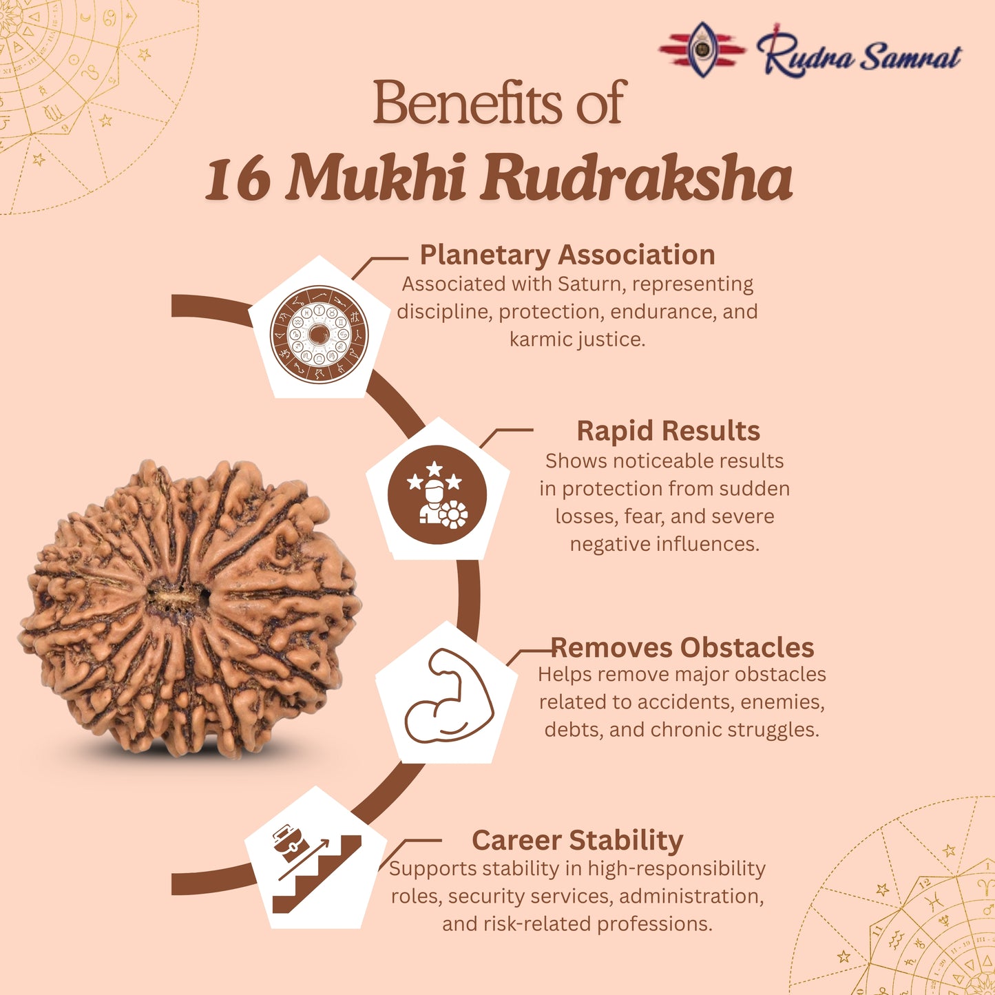 16 Mukhi Rudraksha