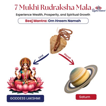 7 Mukhi Rudraksha Mala