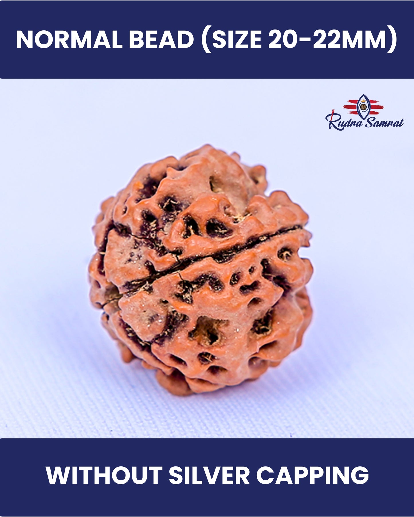 4 Mukhi Rudraksha