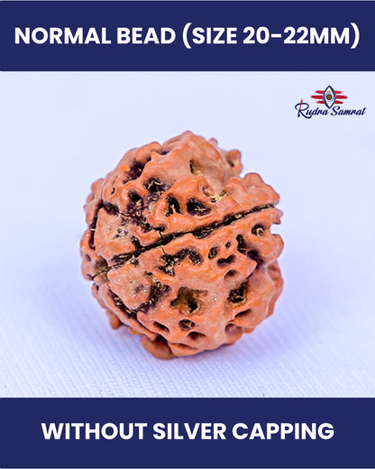 4 Mukhi Rudraksha