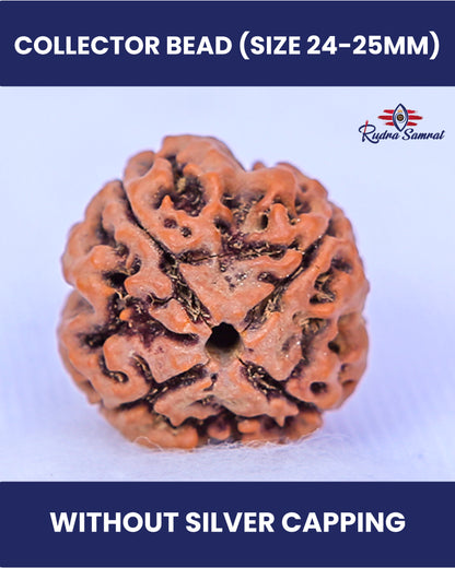 4 Mukhi Rudraksha