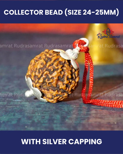 4 Mukhi Rudraksha