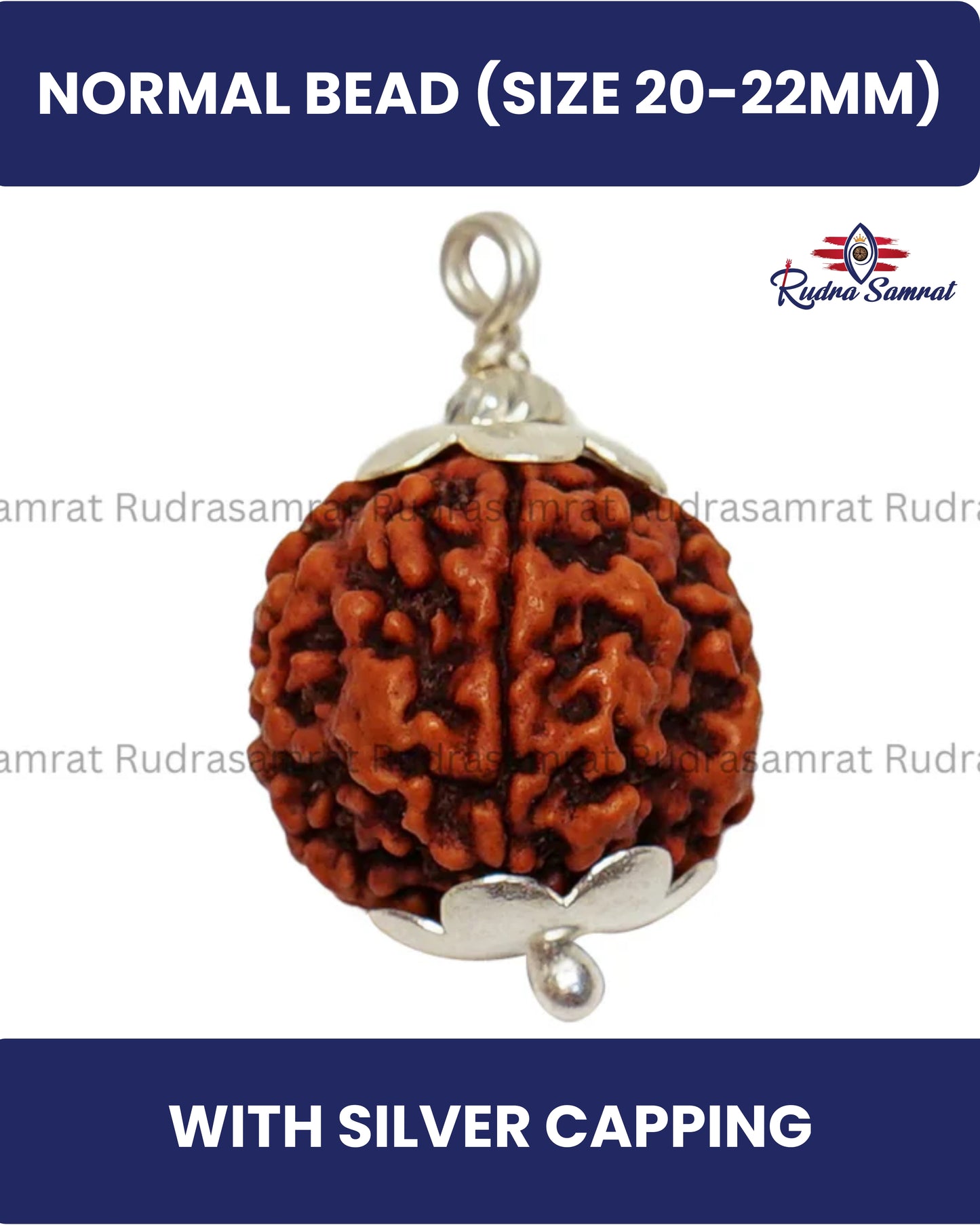 4 Mukhi Rudraksha