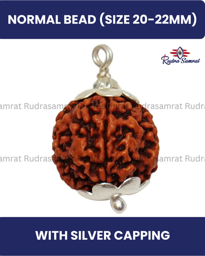 4 Mukhi Rudraksha
