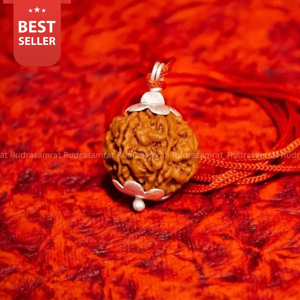 7 Mukhi Rudraksha