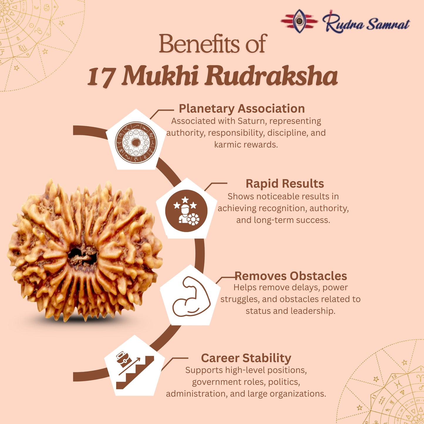 17 mukhi Rudraksha