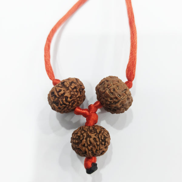 Shakti Bandh – 8, 9 & 10 Mukhi Rudraksha