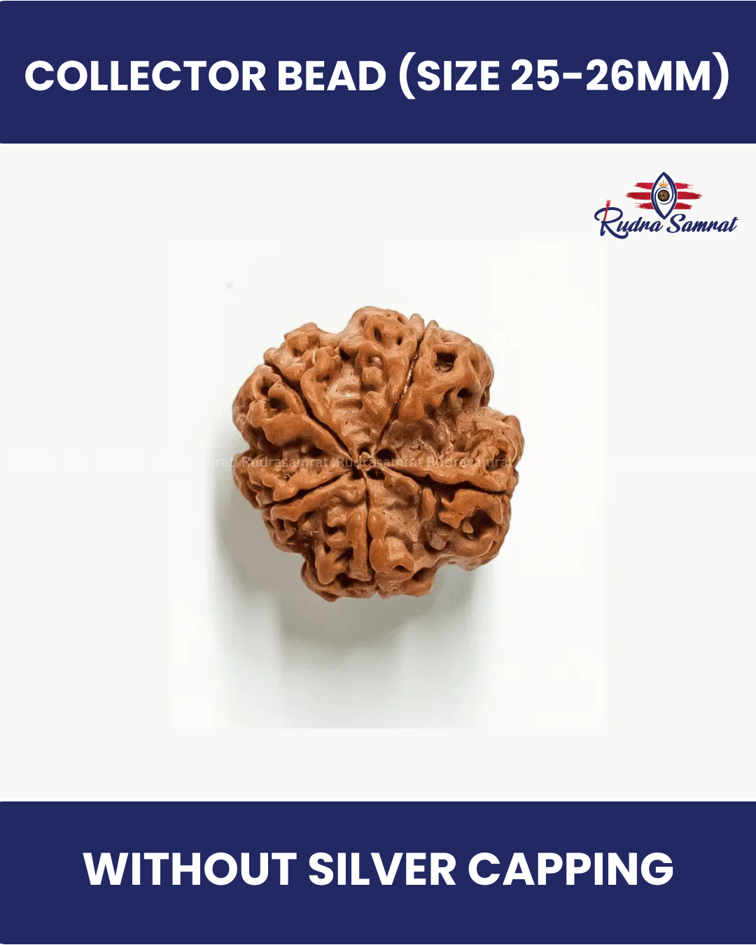 5 Mukhi Rudraksha