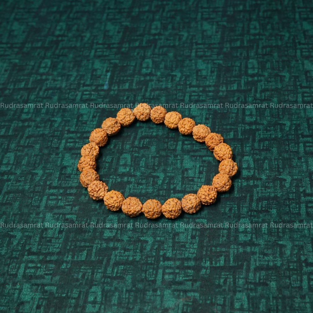 5 mukhi rudraksha bracelet cost