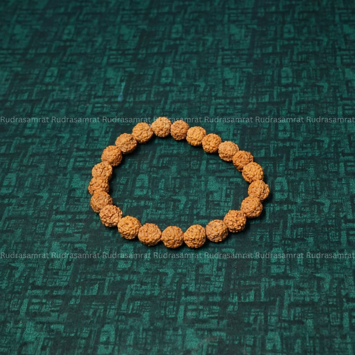 5 mukhi rudraksha bracelet cost