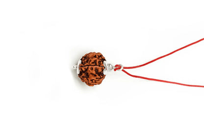 5 Mukhi Rudraksha