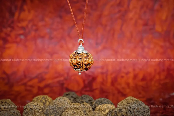 5 Mukhi Rudraksha