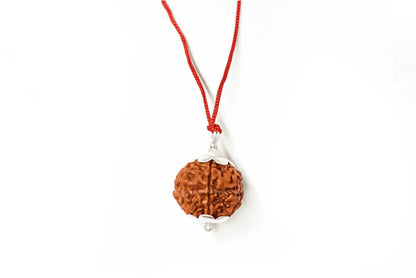 5 Mukhi Rudraksha