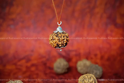 5 Mukhi Rudraksha